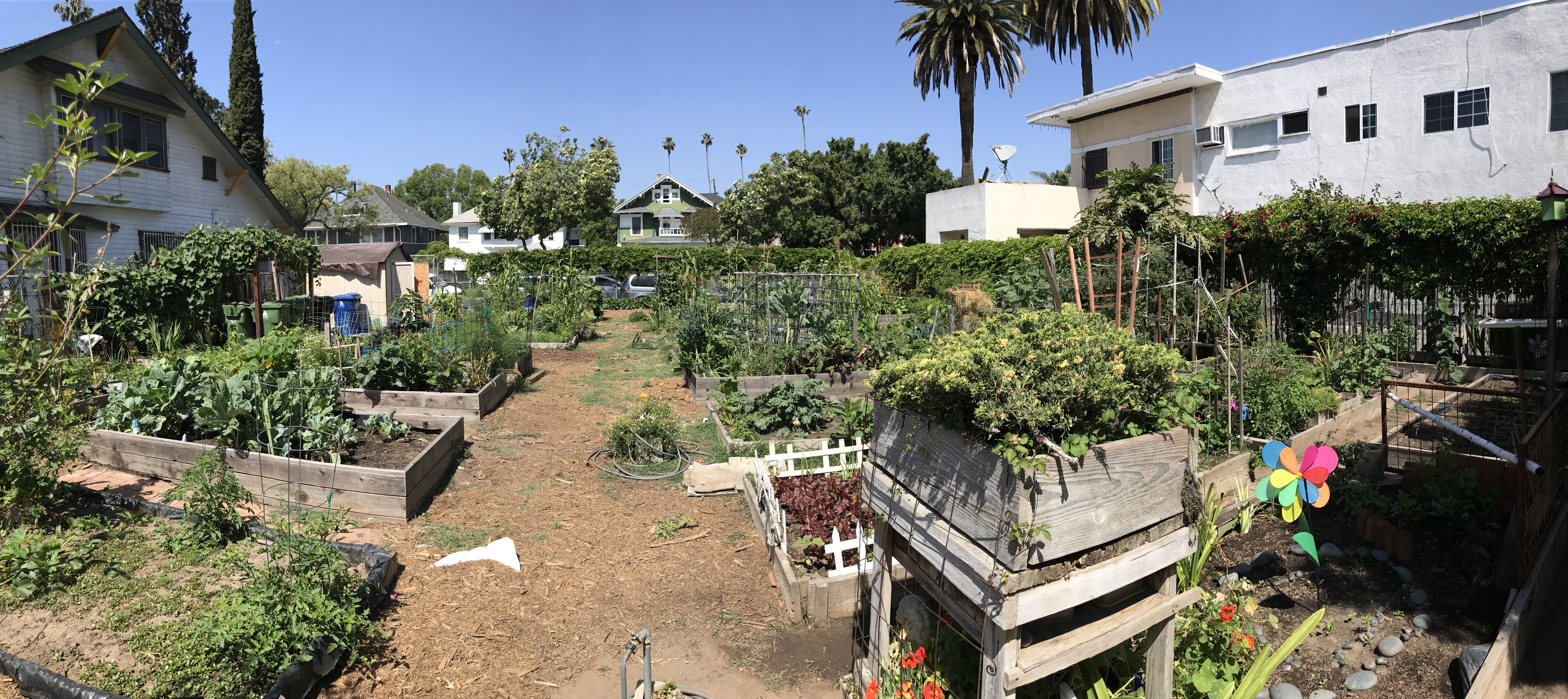 Wide angle shot of garden and nearby houses