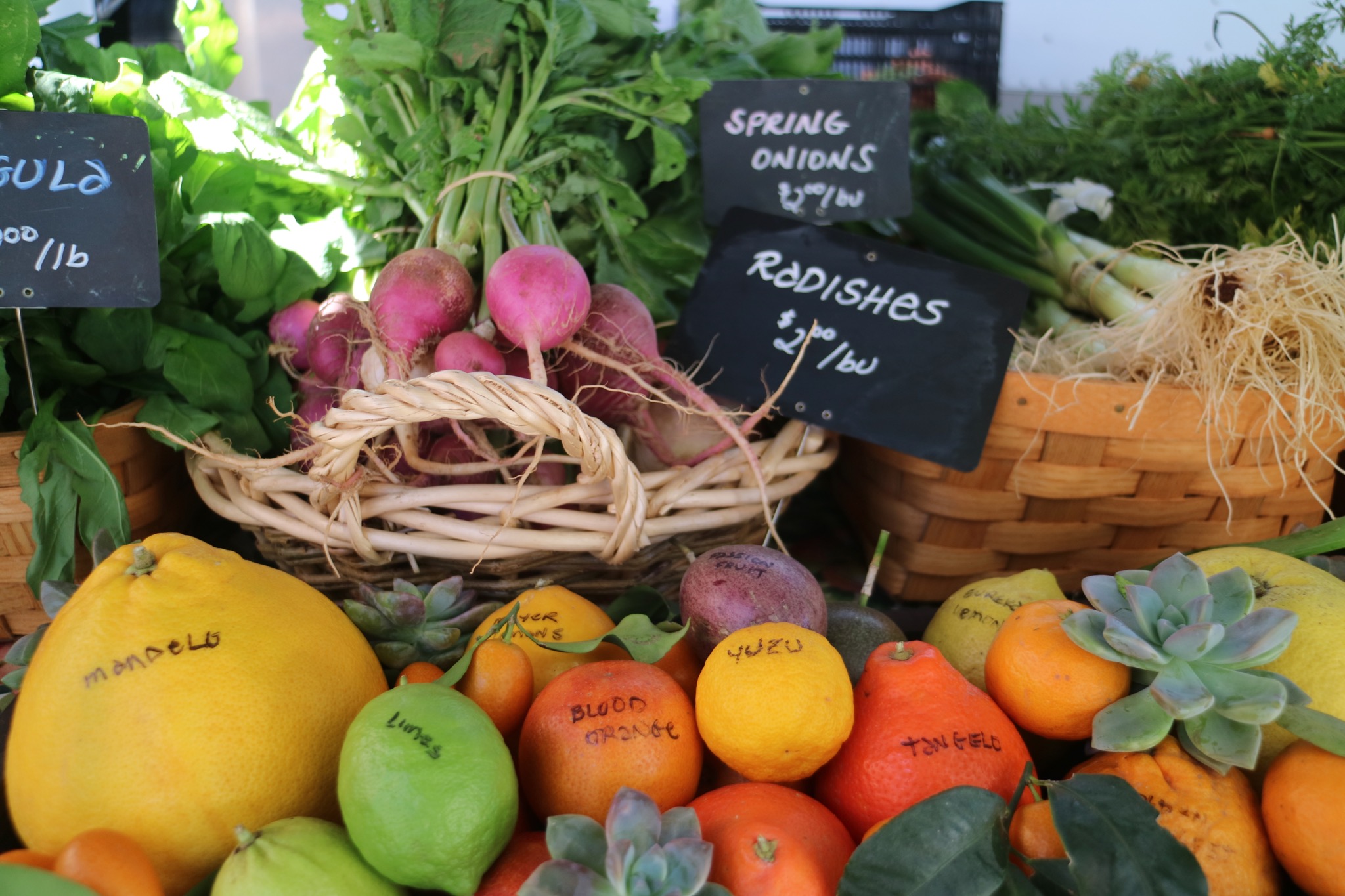 Fruit at the Santa Monica Farmers Market