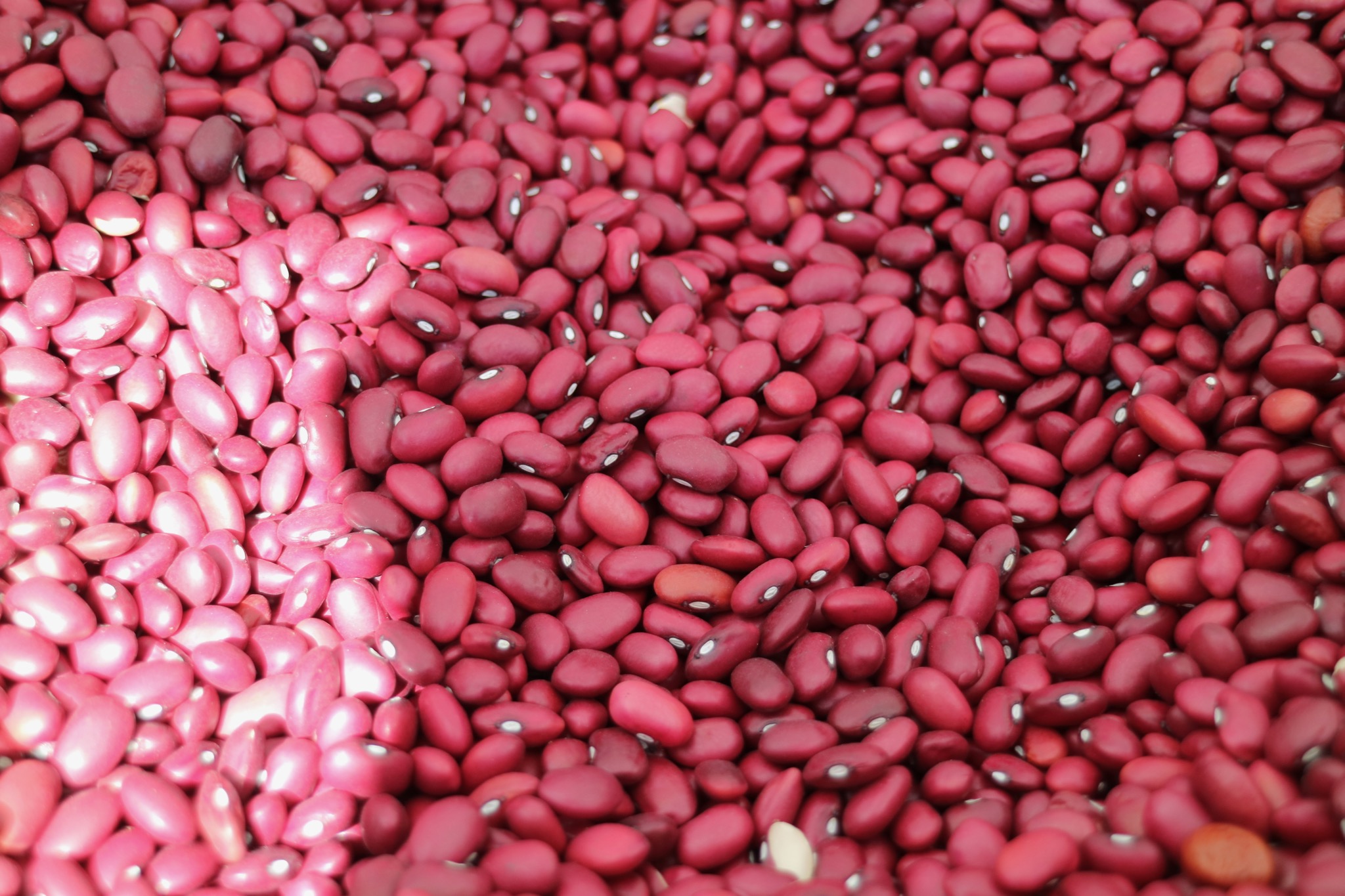 Beans at the Santa Monica Farmers Market