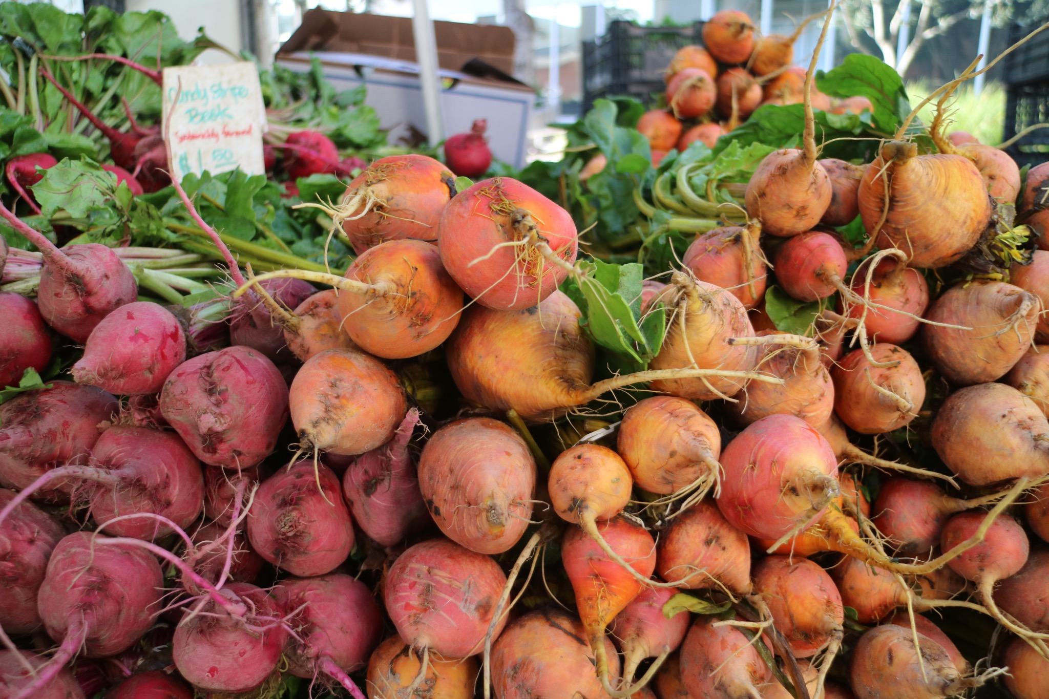 Vegetables at the Santa Monica Farmers Market