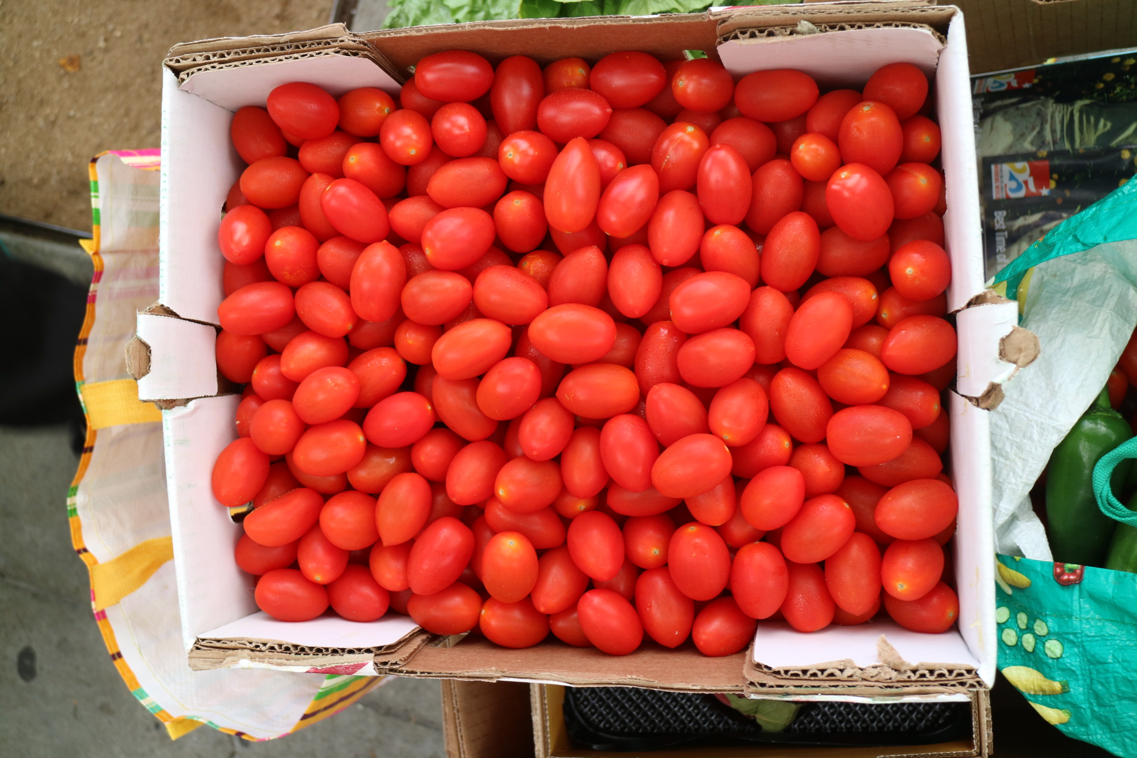 Tomatoes at Saint Francis Center